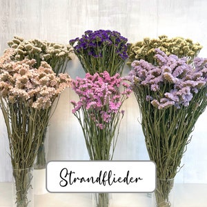 Könnte beinhalten: Vier Sträuße getrockneter Statice-Blumen in verschiedenen Farben: Beige, Rosa, Lila und Lavendel. Die Sträuße sind in einer Reihe angeordnet und mit "Strandflieder" beschriftet.