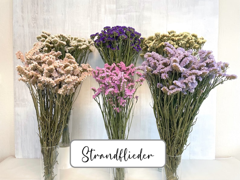 May include: Four bouquets of dried statice flowers in different colors: beige, pink, purple, and lavender. The bouquets are arranged in a row and labeled "Strandflieder".