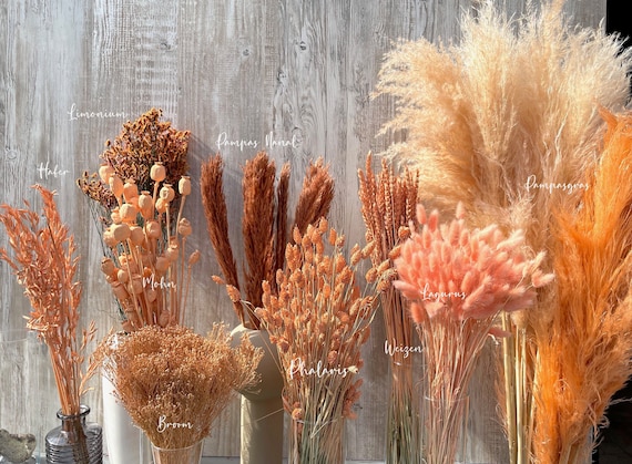 Israel Boho Wheat Dried Flowers Oats Etsy Orange Spring DIY Wedding Phalaris Apricot Lagurus Decoration - Terracotta Flowers Broom Gift Dried