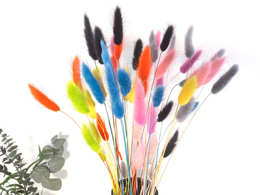 100 Stück Trockenblumen Strauß - Natürliches Pampasgras & Bunny Tails Für Deko