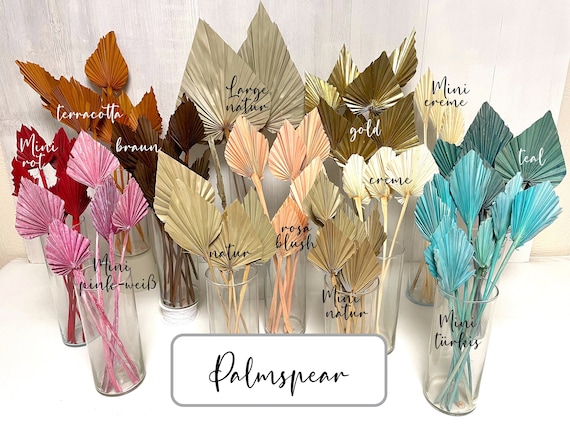 Palmblatt getrocknete Palmenblätter kleine Palmwedel Trockenblumen Palmspear für Trockenblumenstrauß Trockenblumenarrangement DIY Geschenk