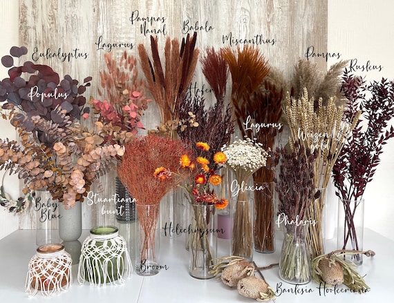 Braune Trockenblumen getrocknete Blumen orange terracotta Eukalyptus Phalaris Lagurus Ruskus Strohblumen Hochzeit Geschenk Deko Frühling