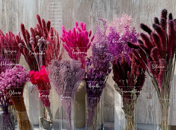 Trockenblumen in Beerentönen getrocknete Blumen in flieder pink lila Ruskus Craspedia Glixia Lagurus Broom Nigella Gräser zum dekorieren