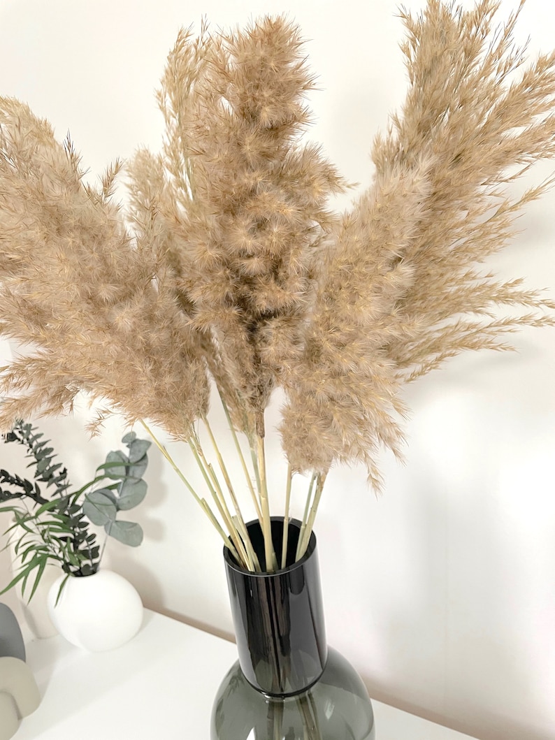 K&ouml;nnte beinhalten: Ein Strau&szlig; getrockneter Pampasgr&auml;ser in einer schwarzen und grauen Vase. Die Vase hat einen breiten Boden und einen schmalen Hals.