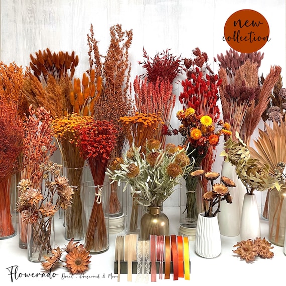 Trockenblumen Orange Terracotta Rostrot Blumen Tischdeko Hochzeitsdeko Brautstrauß Boho Deko Frühling Herbst Geschenk DIY Set Blumenstrauß