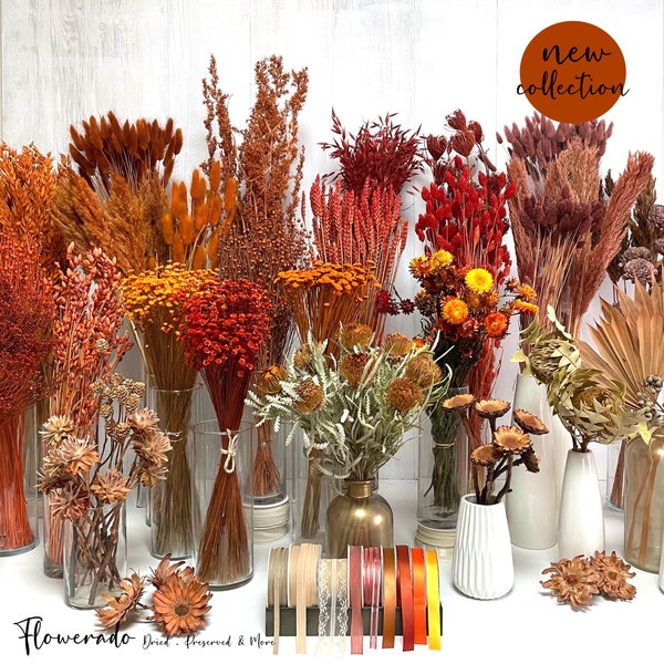 Trockenblumen orange terracotta rostrot Blumen Tischdeko Hochzeitsdeko Brautstrauß Boho Deko Frühling Herbst Geschenk DIY Set Blumenstrauß