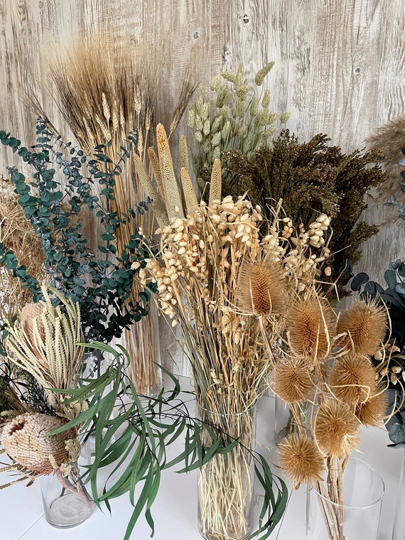 Trockenblumen beige natur braun Deko Naturtöne getrocknete Blumen Gräser Eukalyptus Pampasgras Trockenblumenstrauß Hochzeit Frühlingsdeko