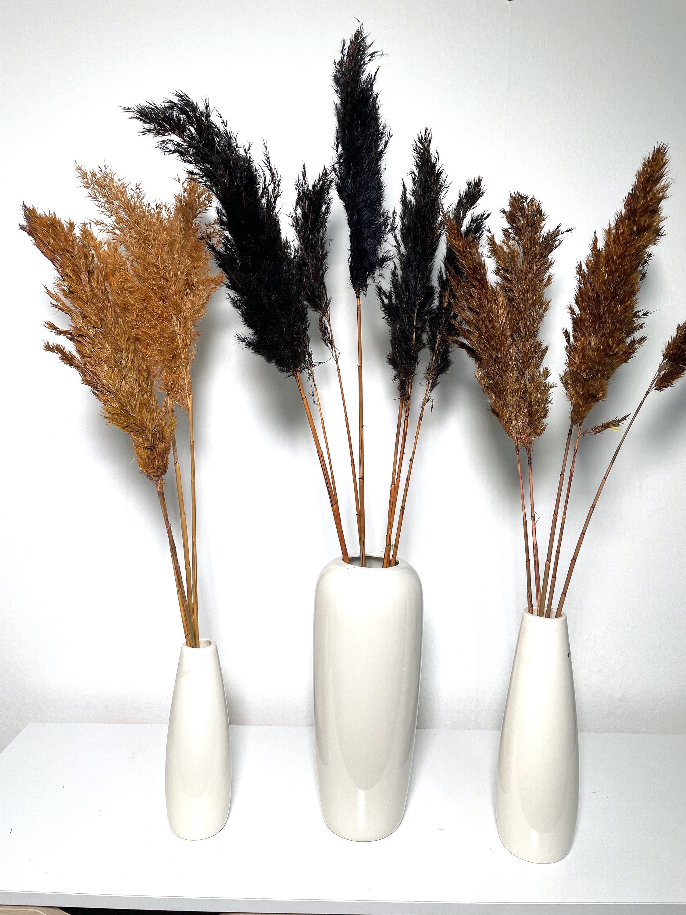 Dried Pampas Grass Short Ca.65 Cm Colored Pampas Dried Flowers - Etsy
