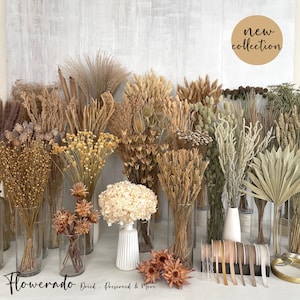 Könnte beinhalten: Eine Sammlung getrockneter und konservierter Blumen und Gräser in verschiedenen Brauntönen, Beige und Weiß, die in Glasvasen angeordnet sind. Die Blumen werden auf einer weißen Oberfläche mit einem Schild präsentiert, auf dem "Flowerado - Dried, Preserved & More" steht. Ein Kreis mit dem Text "new collection" befindet sich in der oberen rechten Ecke des Bildes.