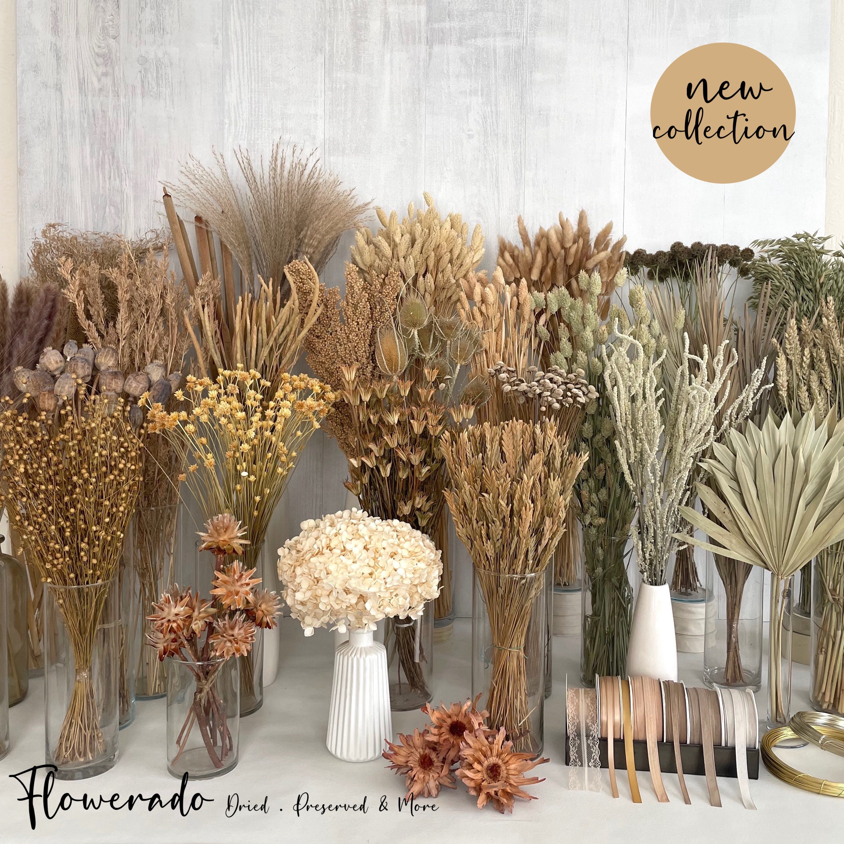 120 Stück Pampasgras Klein, 45 Cm, Natürliche Trockenblumen Für Deko – Perfekt Für Hochzeiten, Wohnzimmer, Vasen