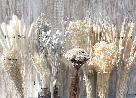 White/bleached dried flowers in white pot