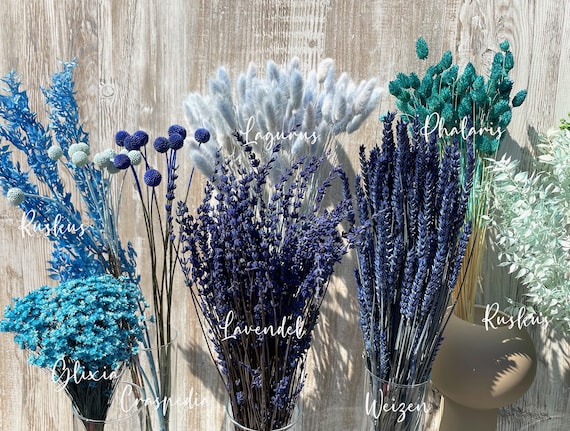 Blaue Trockenblumen getrocknete Blumen in türkis hellblau dunkelblau Ruscus Craspedia Glixia Phalaris Lagurus Lavendel Weizen Hochzeit Deko