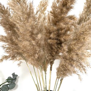 K&ouml;nnte beinhalten: Ein Strau&szlig; getrockneter Pampasgr&auml;ser in einer schwarzen Vase. Das Gras ist hellbraun und hat eine flauschige Textur.