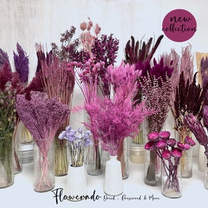 Trockenblumen lila Beerentöne Trockenblumenstrauß pink Lavendel Schleierkraut Craspedia Herbsthochzeit Tortendeko Geburtstag Blumen Advent