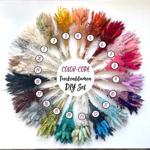 May include: A circular arrangement of dried flower bouquets in various colors, including yellow, orange, red, pink, purple, blue, and green. Each bouquet is tied with twine. The image includes the text "COLOR-CODE Trockenblumen DIY Set."