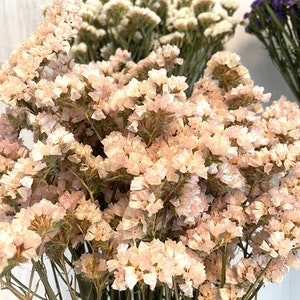 May include: A bunch of dried statice flowers in shades of pink and white. The flowers are arranged in a vase and are ready to be used in a craft project or as a decorative element.