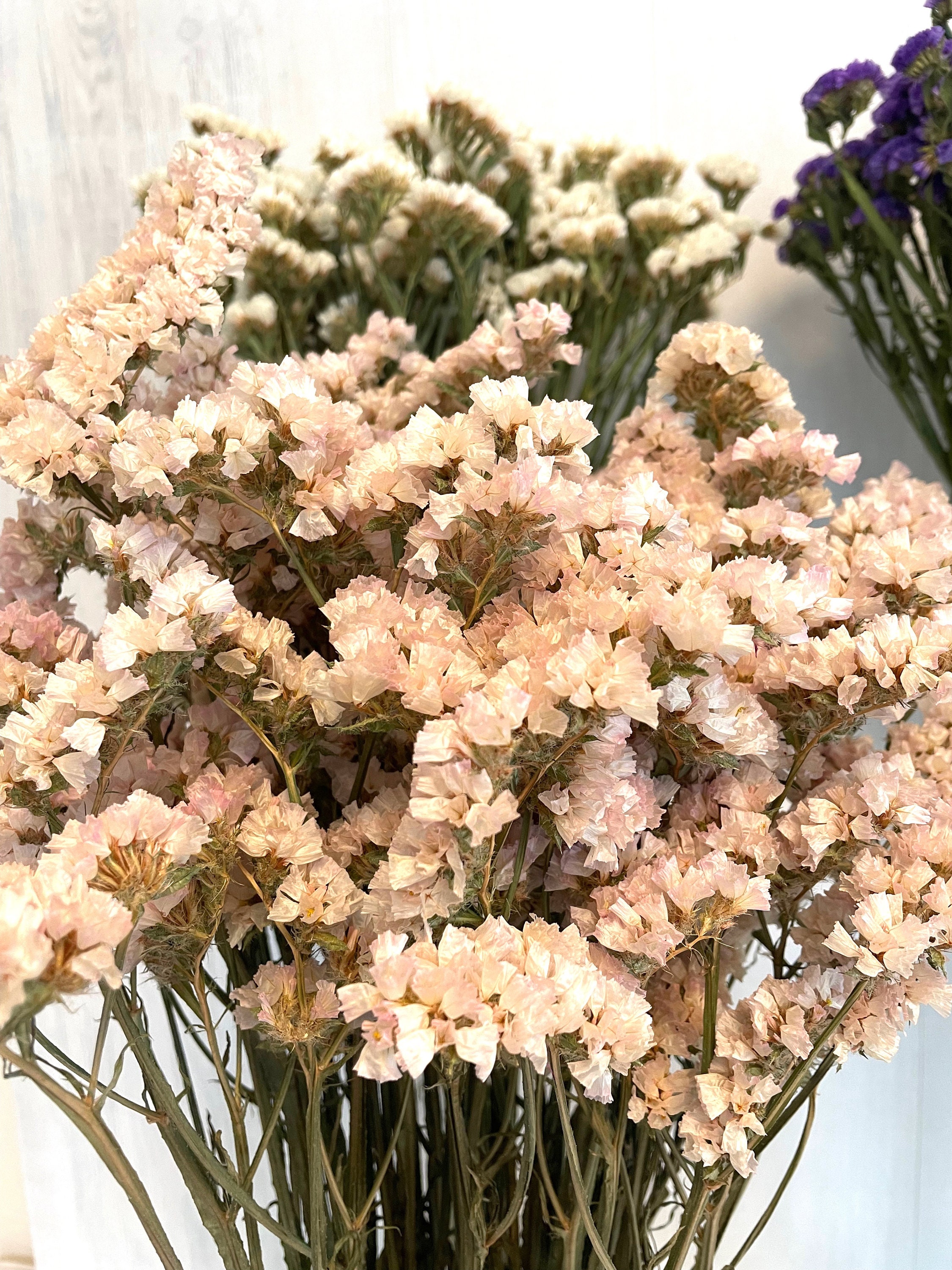 Bouquet Limonium Préservé Naturel - Caspia Séchée Pour Déco Mariage, Maison, Saint-Valentin (environ 55 Cm) - 3