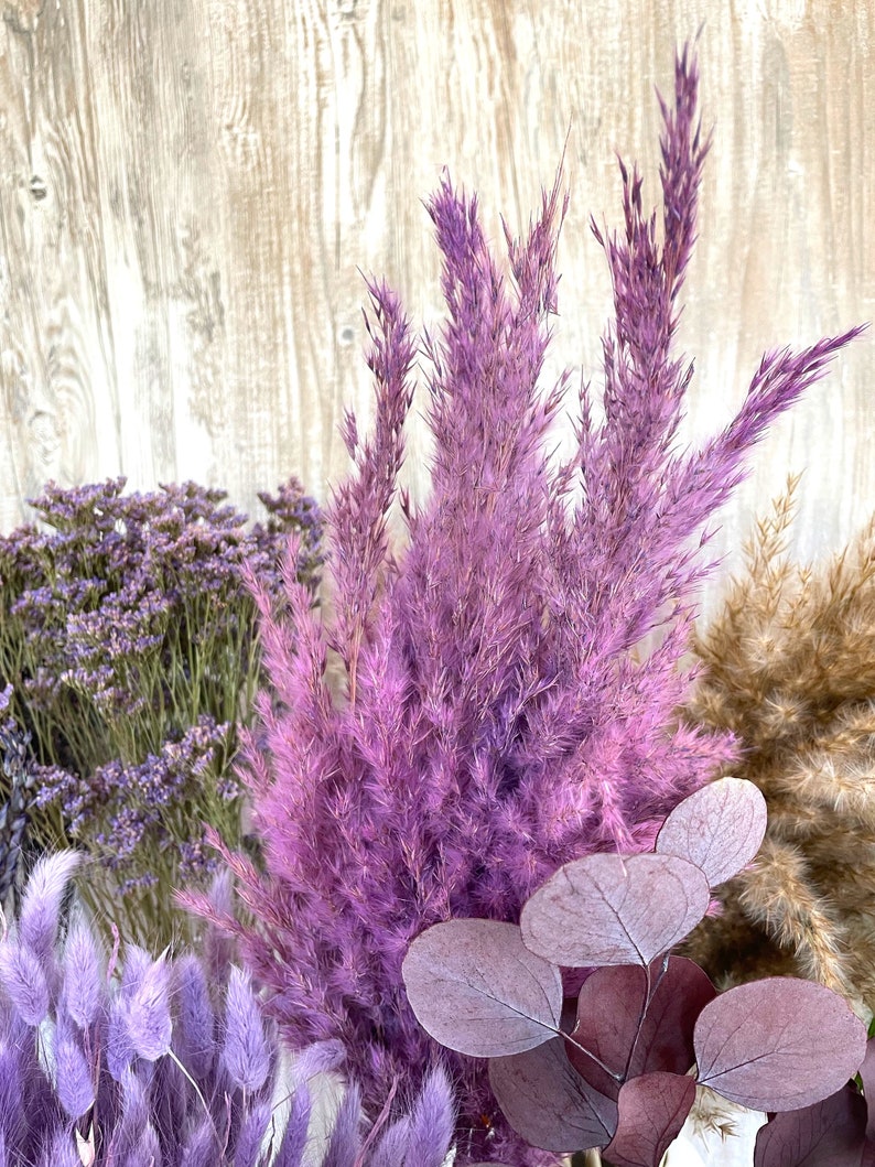 Lila Trockenblumen Blumen in flieder violett Etsy.de