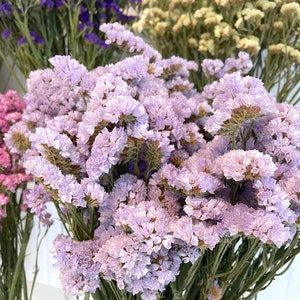 May include: A bouquet of dried flowers in shades of purple, lavender, and cream. The flowers are arranged in a vase and are ready to be used in a craft project or as a decorative element.
