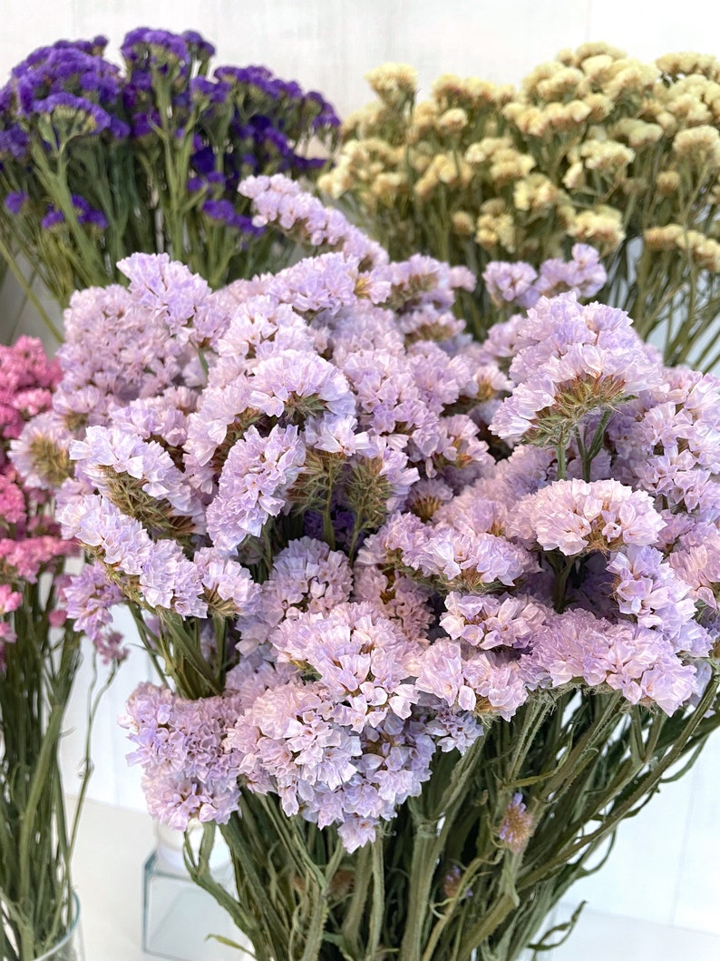May include: A bouquet of dried flowers in shades of purple, lavender, and cream. The flowers are arranged in a vase and are ready to be used in a craft project or as a decorative element.