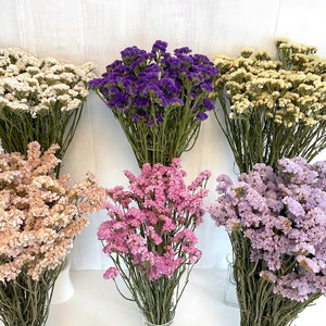 May include: Six bunches of dried statice flowers in various colors, including white, purple, pink, and lavender. The flowers are arranged in a row on a white wooden background.