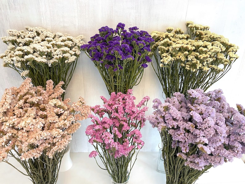 May include: Six bunches of dried statice flowers in various colors, including white, purple, pink, and lavender. The flowers are arranged in a row on a white wooden background.