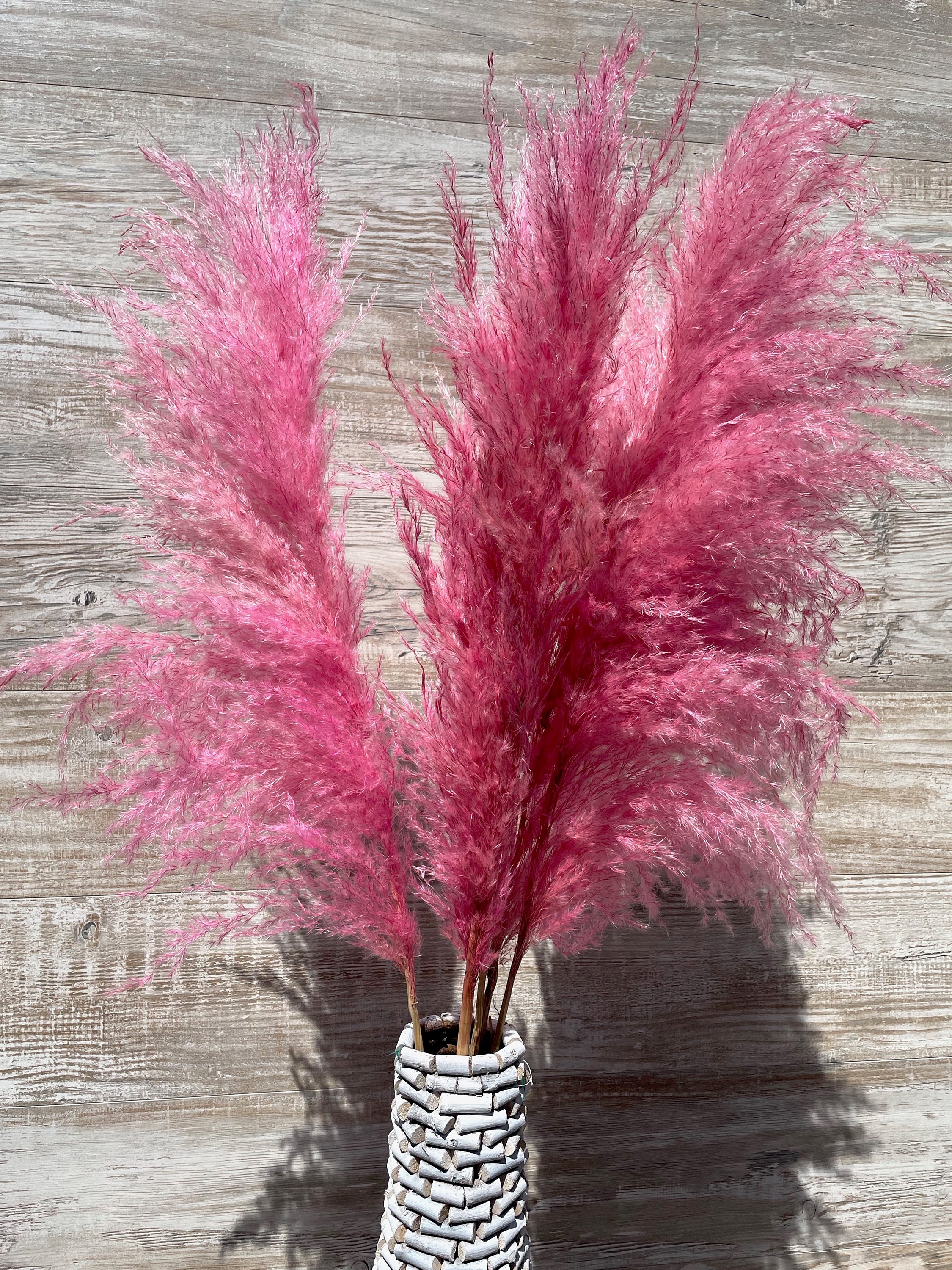 Hot pink Pampas Grass - 110cm