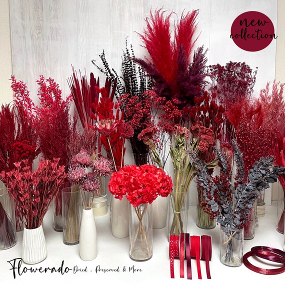 Buy Trockenblumen Rot Bordeaux Dunkelrot Blumen Zum Hochzeitstag Tischdeko Weihnachten Adventskranz Türkranz Hochzeitsdeko Brautstrauß Geschenk Online in India
