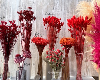 Flores secas rojas flores secas rojo burdeos rojo oscuro Glixia Phalaris Lagurus decoración de boda regalo aniversario cumpleaños ramo