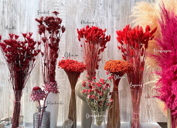 SLFYEE 120pcs Herbe De La Papa Fleurs Séchées Ovatus Séché Naturel