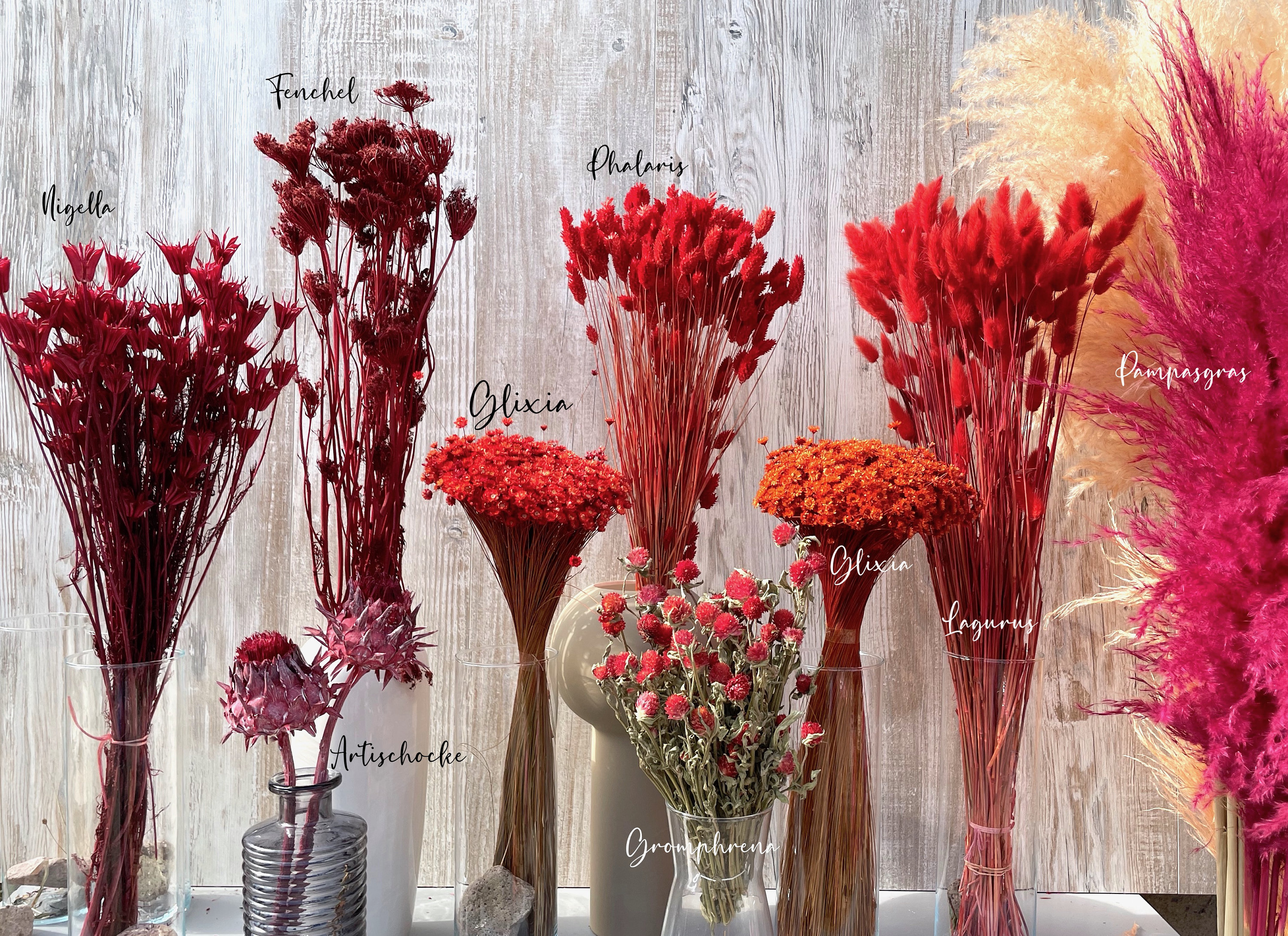 Rote Trockenblumen getrocknete Blumen rot bordeaux dunkelrot Glixia Phalaris Lagurus Hochzeit Deko Geschenk Jubiläum Geburtsag Blumenstrauß