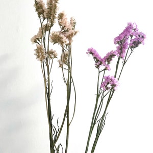 May include: Two bunches of dried flowers, one with light pink flowers and the other with white flowers, against a white background.