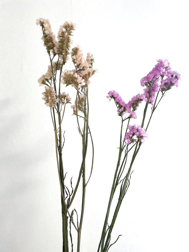 May include: Two bunches of dried flowers, one with light pink flowers and the other with white flowers, against a white background.