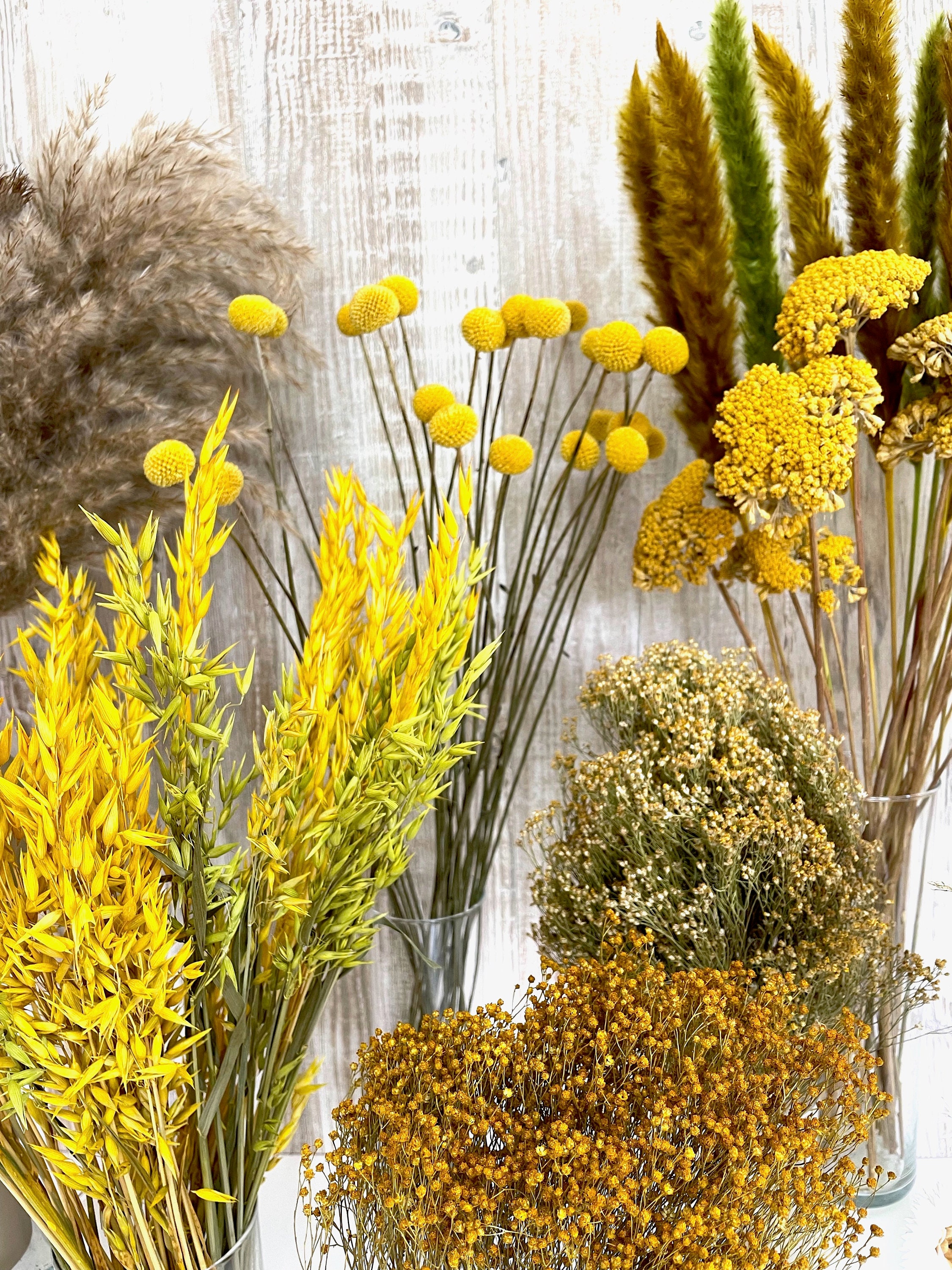 Glorex Getrocknete Blumen – Kamillenblüten, Gelb, 4 G, Für Seifen, Badekugeln & Naturkosmetik