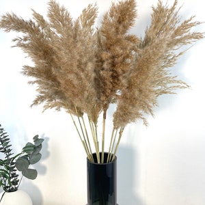 K&ouml;nnte beinhalten: Ein Strau&szlig; getrockneter Pampasgr&auml;ser in einer dunkelgrauen Vase mit schwarzem Oberteil. Die Vase steht auf einer wei&szlig;en Oberfl&auml;che.