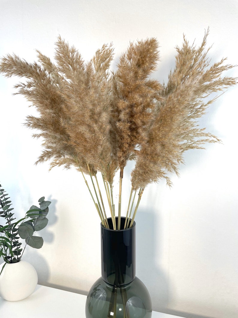 K&ouml;nnte beinhalten: Ein Strau&szlig; getrockneter Pampasgr&auml;ser in einer dunkelgrauen Vase mit schwarzem Oberteil. Die Vase steht auf einer wei&szlig;en Oberfl&auml;che.