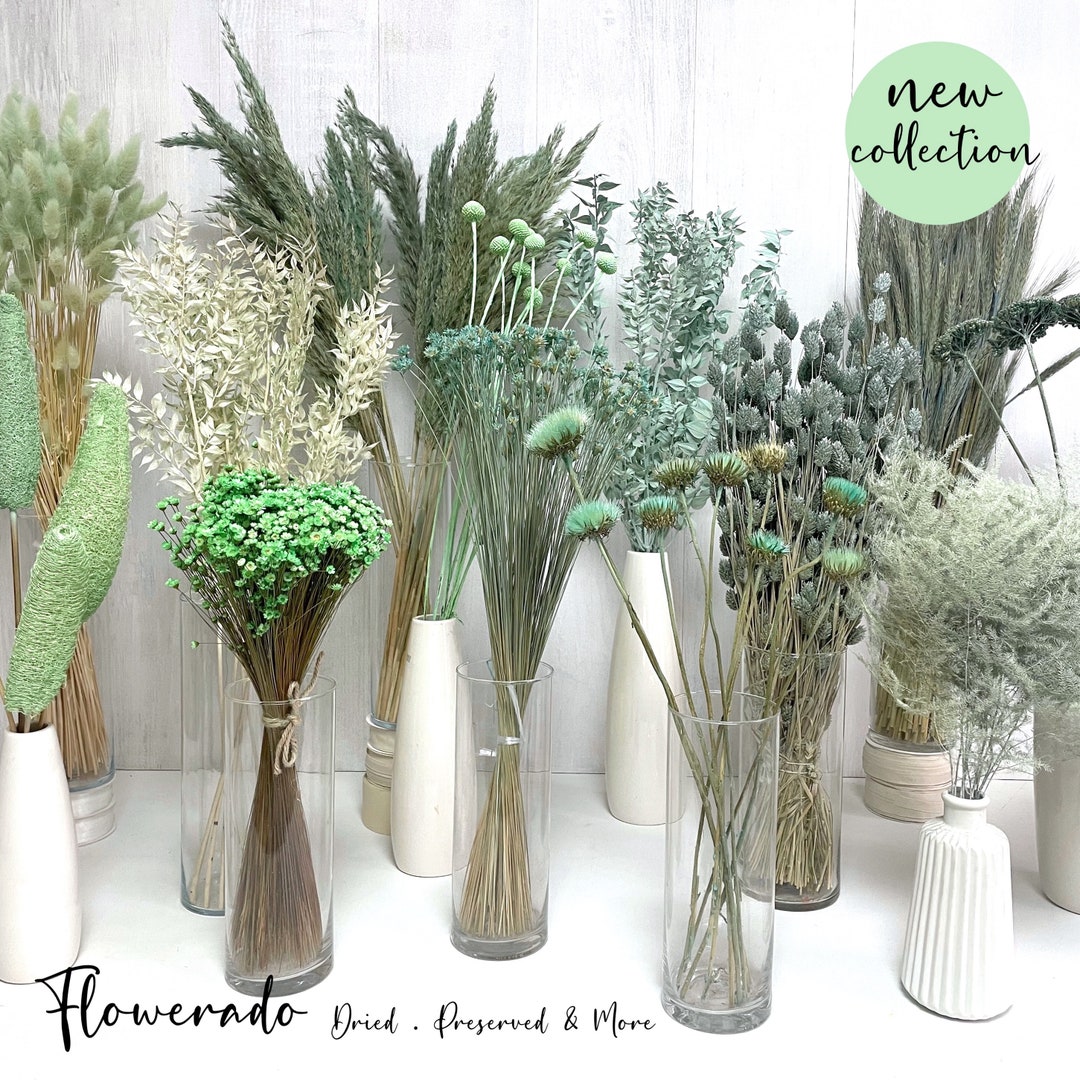 Trockenblumen mint Trockenblumenstrauß Deko mintgrün salbeigrün