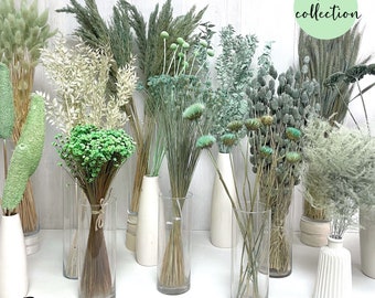 Flores secas, menta; ramo de flores secas; decoración, verde menta, verde salvia; decoración de mesa; decoración de boda; corona de Adviento; hierba de la pampa; ruscus; lagurus; craspedia