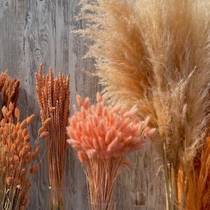 Dried flowers apricot orange terracotta dried flowers spring Phalaris wheat Lagurus oats Broom DIY gift boho decoration wedding image 7