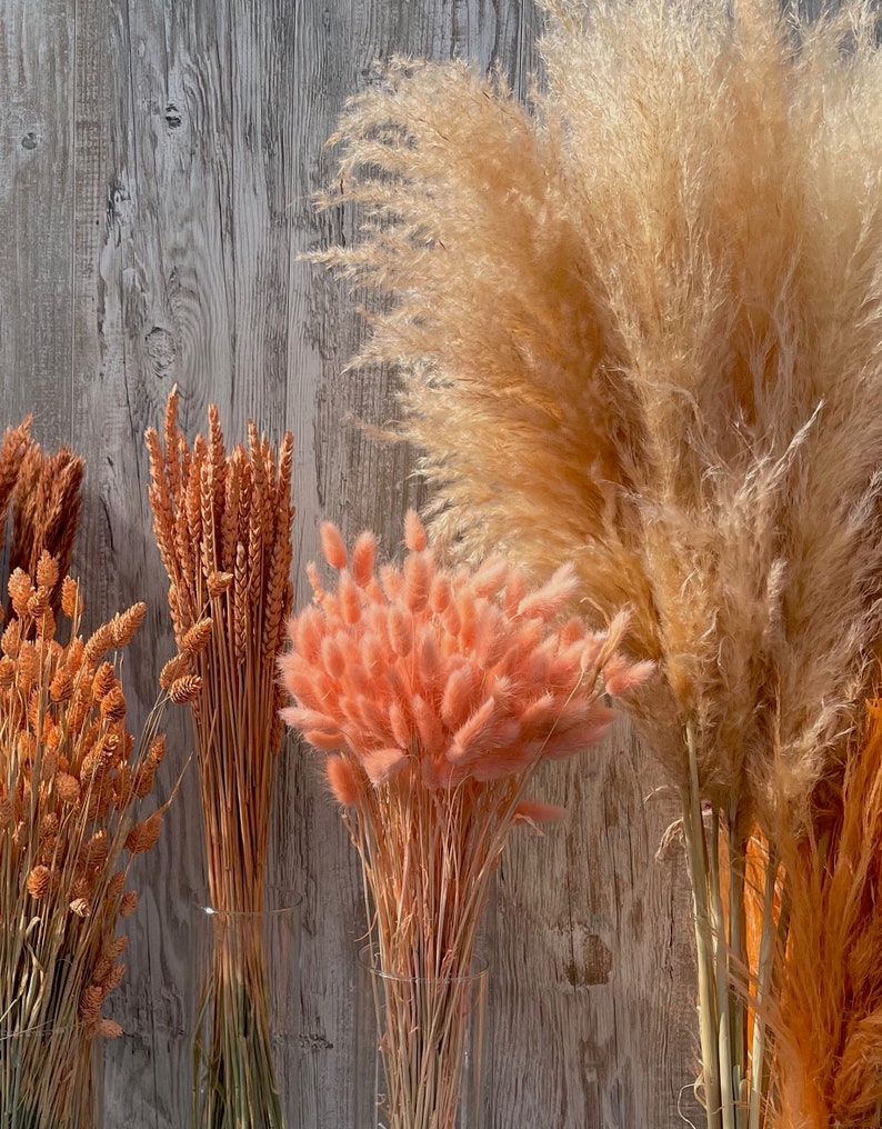 Dried flowers apricot orange terracotta dried flowers spring Phalaris wheat Lagurus oats Broom DIY gift boho decoration wedding image 7