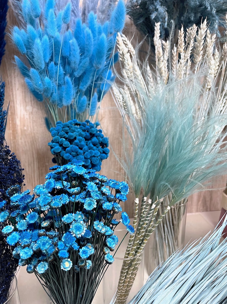 Trockenblumen Trockenblumenstrauß blau hellblau dunkelblau Pampas Ruskus Lagurus Broom Glixia blaue getrocknete Blumen Deko Taufe Hochzeit Bild 4