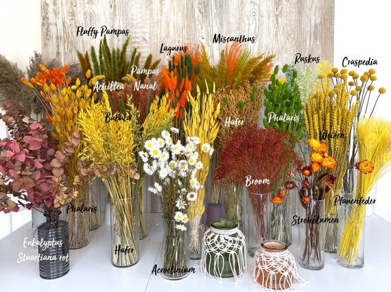 Trockenblumen gelb orange grün Eukalyptus Lagurus Strohblumen Gänseblümchen Craspedia Weizen Phalaris Ruskus DIY Deko Frühling Ostern Herbst