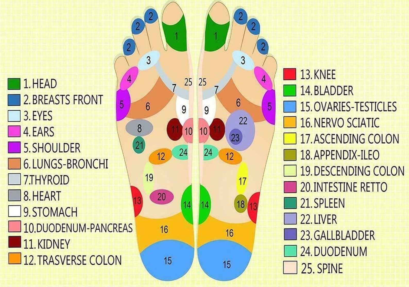 Reflexology Labeled Medial Lateral Foot Chart Holistic Health Etsy