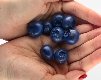 Blueberry Magnets For Fridge, Magnetic Miniature Food, Quirky Decorations Kitchen, Birthday Gift for Mom, Autumn Home Decor, Summer Berries
