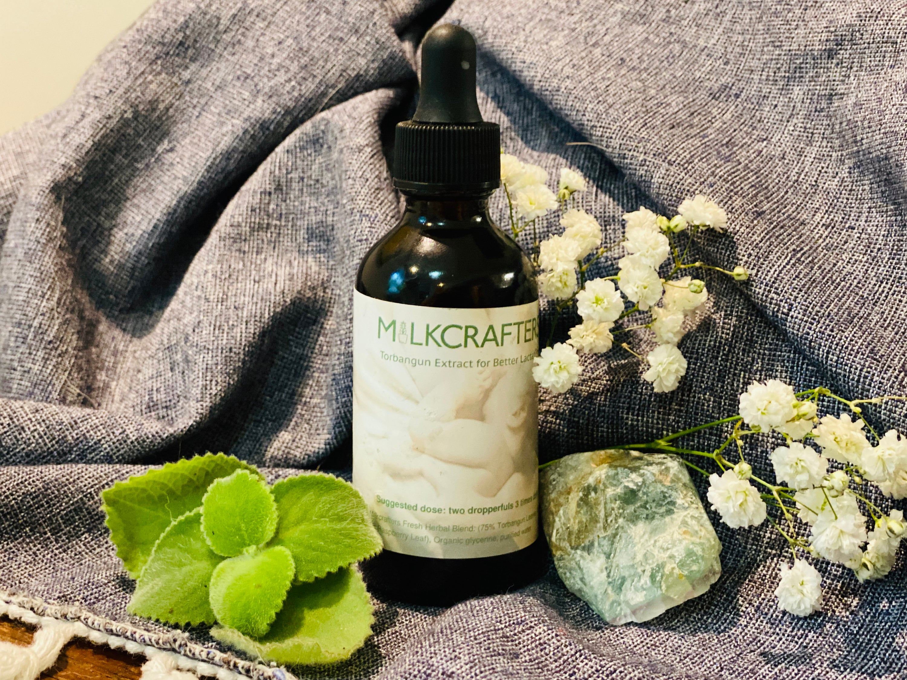 Torbangun Extract for Breastfeeding Moms! Alcohol-free, wildcrafted, effective