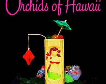 Orchids of Hawaii R-66 Hanging Lantern (25 pack)