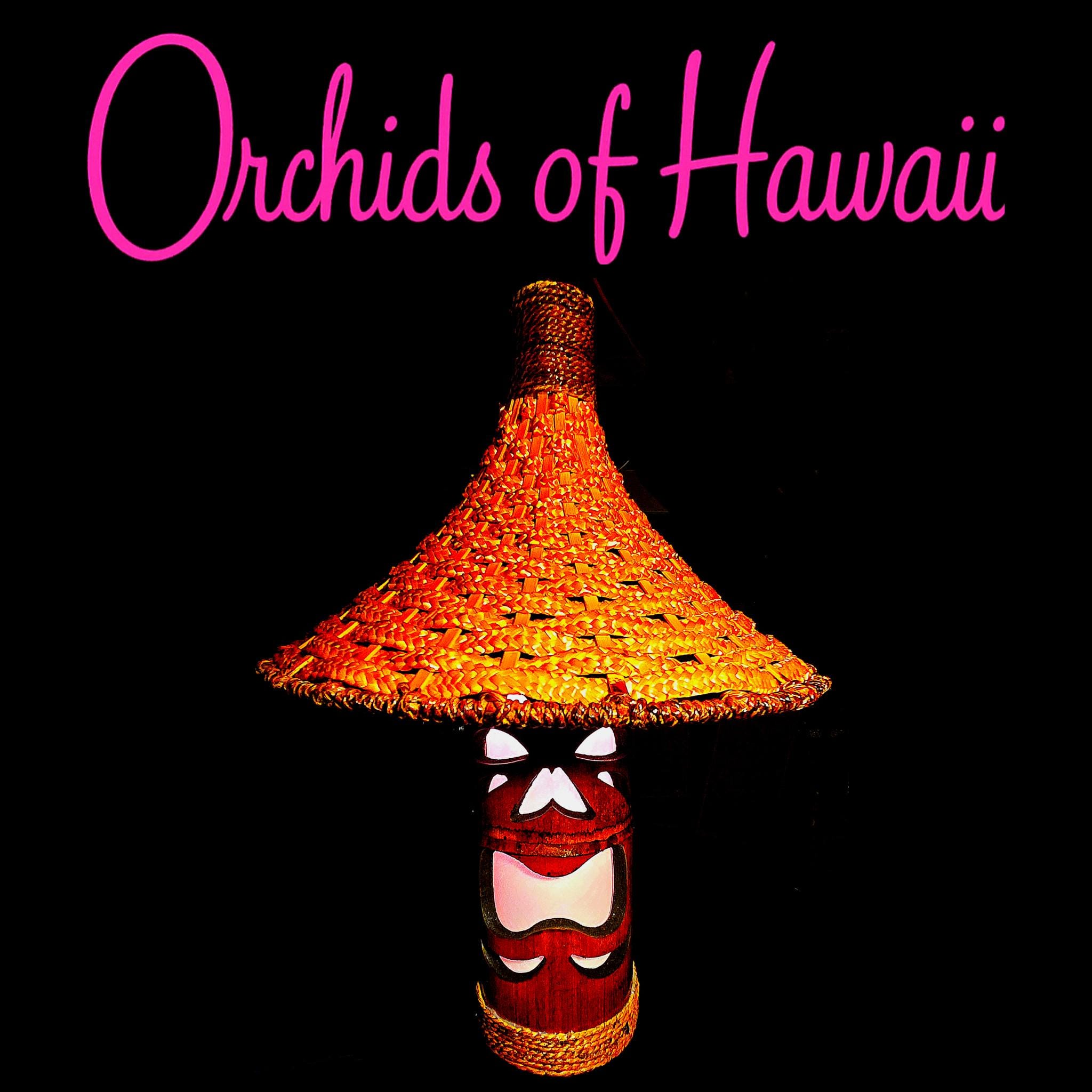 Orchids of Hawaii Tiki Bamboo Lamp - Etsy