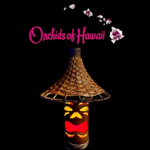 Orchids of Hawaii BL-25B Resin Swag Tiki Bamboo Lamp