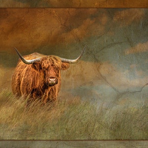 Highland Cow Fabric Panel, Quilt Panel, Quality Quilting Cotton, Scottish Highland Cattle Fabric Panel to Quilt, Size 26”Wx18”L, ACW-005