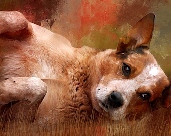 Panel de tela con diseño de perro, panel para acolchado, tela de algodón para acolchado, panel de tela con diseño de perro para acolchar o coser, regalo para acolchador, tamaño 40 cm de ancho x 23 cm de largo, AFF-011